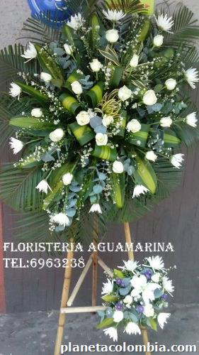 Floristería Aguamarina: teléfono - Calle 45 -13-65, Bucaramanga