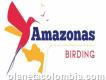 Amazonas Birding