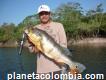 Viajeros del Orinoco-turismo de Naturaleza en el Vichada (reserva de Biósfera El Tuparro)