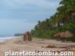 Hermoso Predio con Orilla de Playa en Palomino