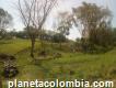 Se vende hermoso lote o terreno, a dos kilómetros de san Luis; Tolima con excelente ubicación (4496 mts2). Precio $62.000.000