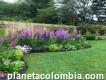 Mantenimiento De Jardines En Santa Rosa De Cabal Contáctenos: 3224562154