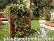 Jardinería En Villas Del Rosario 3154174131