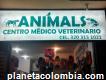 Animals centro médico veterinario- Chiquinquirá - boyacá