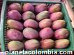 Vendo mango en diferentes variedades tommy, farchil, filipino, manzano, yulima y común