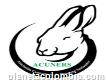 Acuners - Carne De Conejo Y Pie De Cría