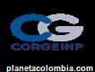 Corgeinp: Corporación De Gestión Empresarial, Investigativa Y De Proyectos