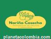 Proveedores De Frutas Y Verduras En Colombia