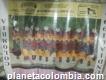 Foto de la selección Colombia del 94
