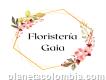 Floristería Gaia