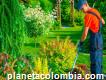 Mantenimiento Y Limpieza De Zonas Verdes- Jardiner