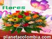 Flores San Martín